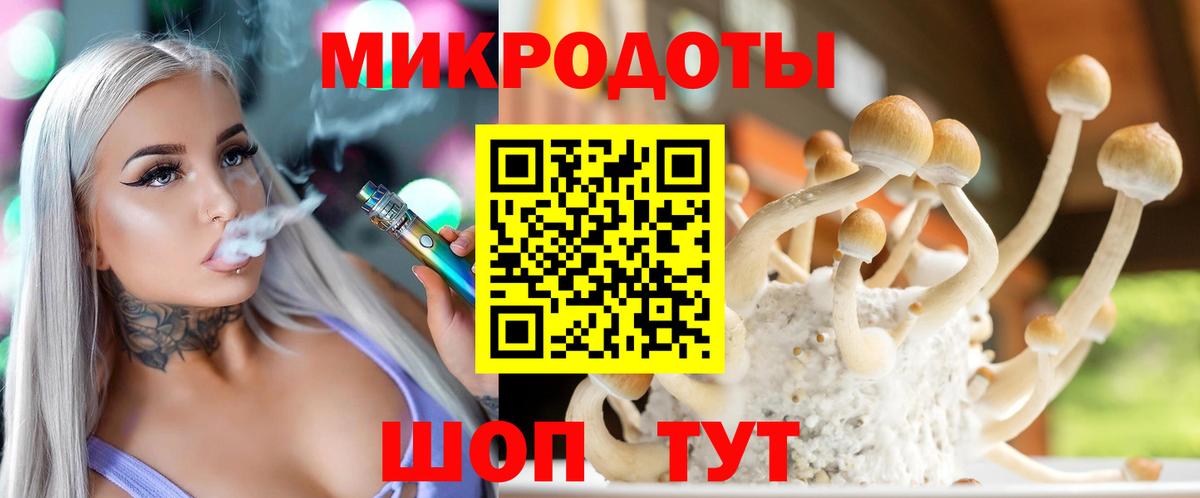Псилоцибиновые грибы мицелий Благодарный